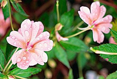 索尼关闭《星鸣特工》工作室是为了进一步垄断市场